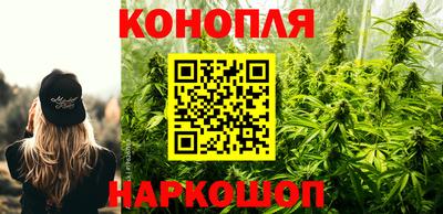 мяу мяу мука Шебекино
