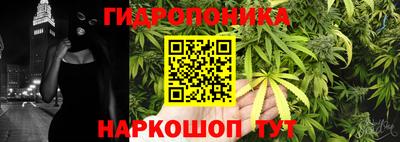винт Шахты