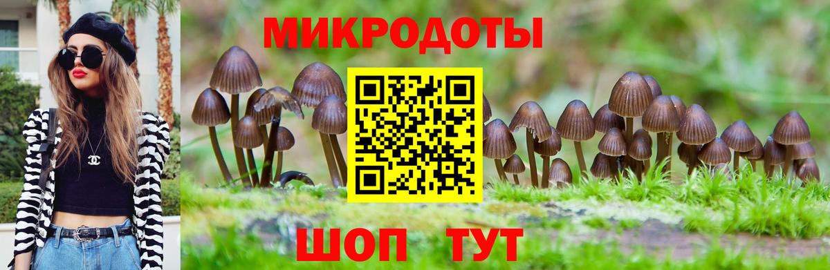 Галлюциногенные грибы мицелий  Вход с VPN  Белебей 